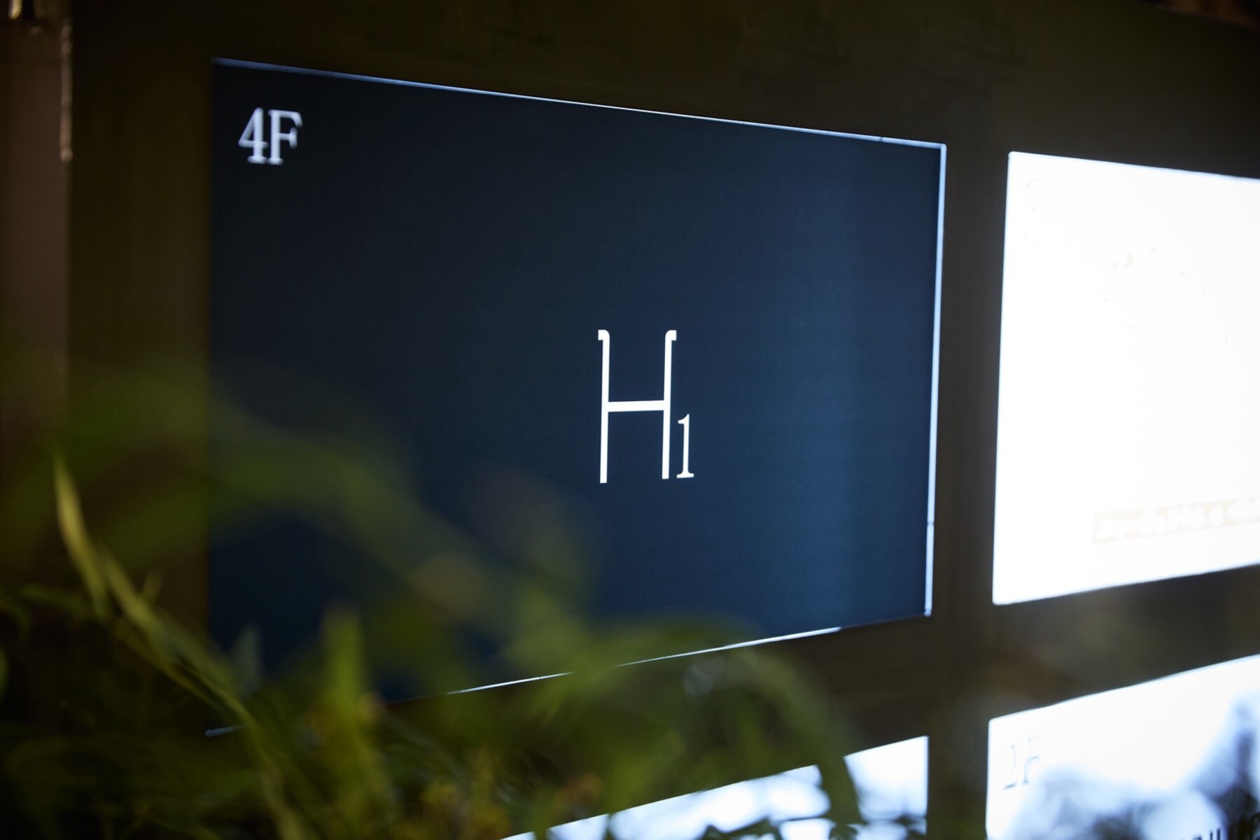 H1's image 5