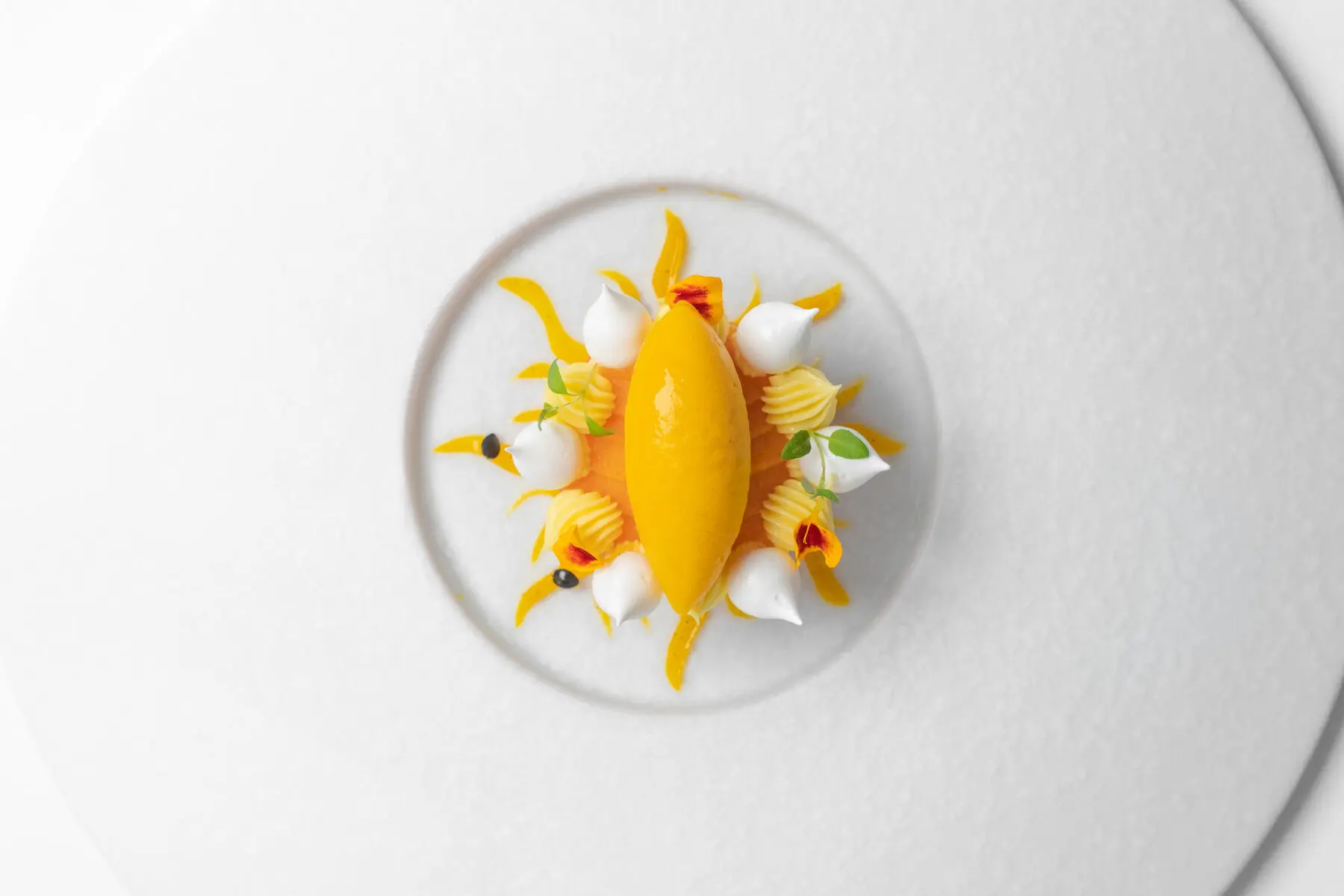 ARMANI / RISTORANTE_20260612110545