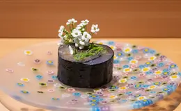 우다츠 스시