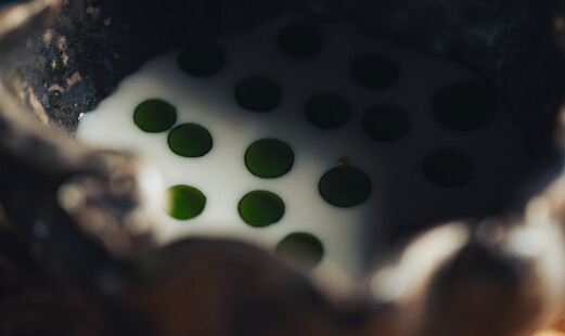 긴자 에시카's image 8