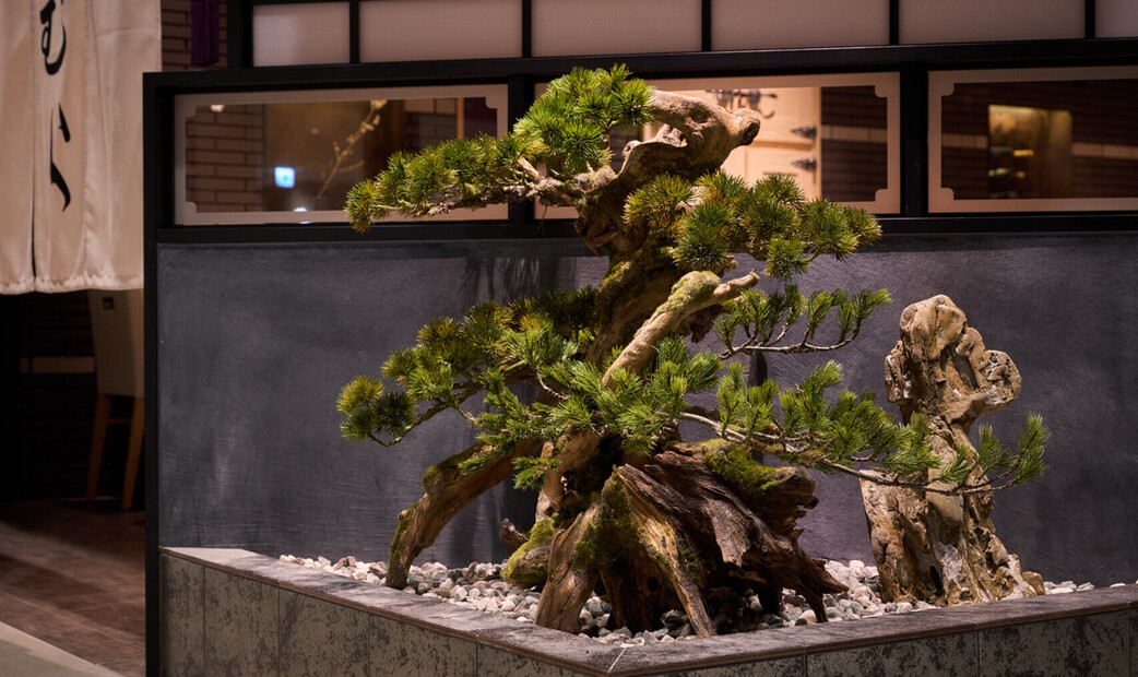Sushi Sawamura's image 18