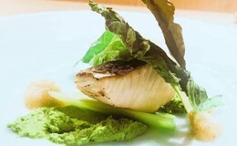 IL NODO's image 3