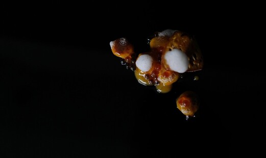 啓蟄's image 12