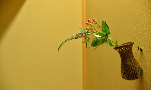 다이고's image 6