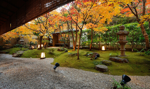 Daigo's image 8