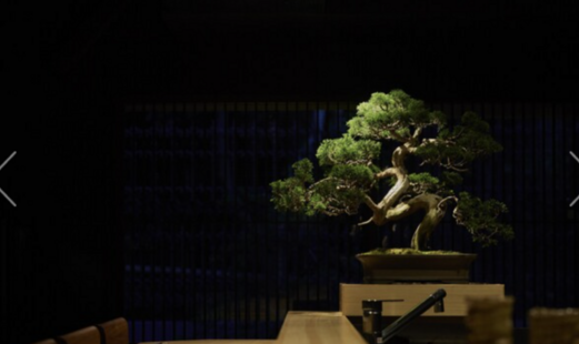 鮨 ひみつ's image 6