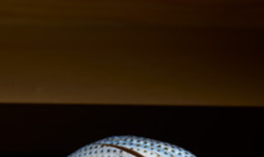 Bettei Sushi Masashi's image 6