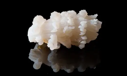 Sushi Kousuke's image 7