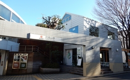 【2026代官山一日遊】東京最美蔦屋書店、預約制隱藏美食推薦