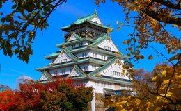 大阪城周辺のレストランおすすめ13選｜ランチからファインダイニングまで完全ガイド