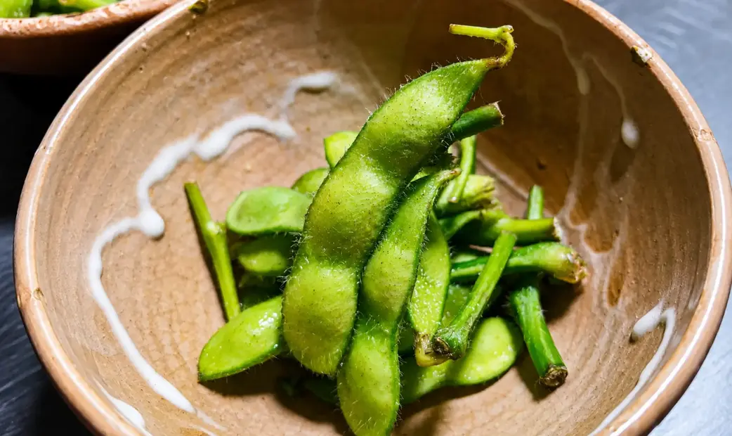 Soba Kaiseki Tsukiji Bunkajin Kaza_20260723190105
