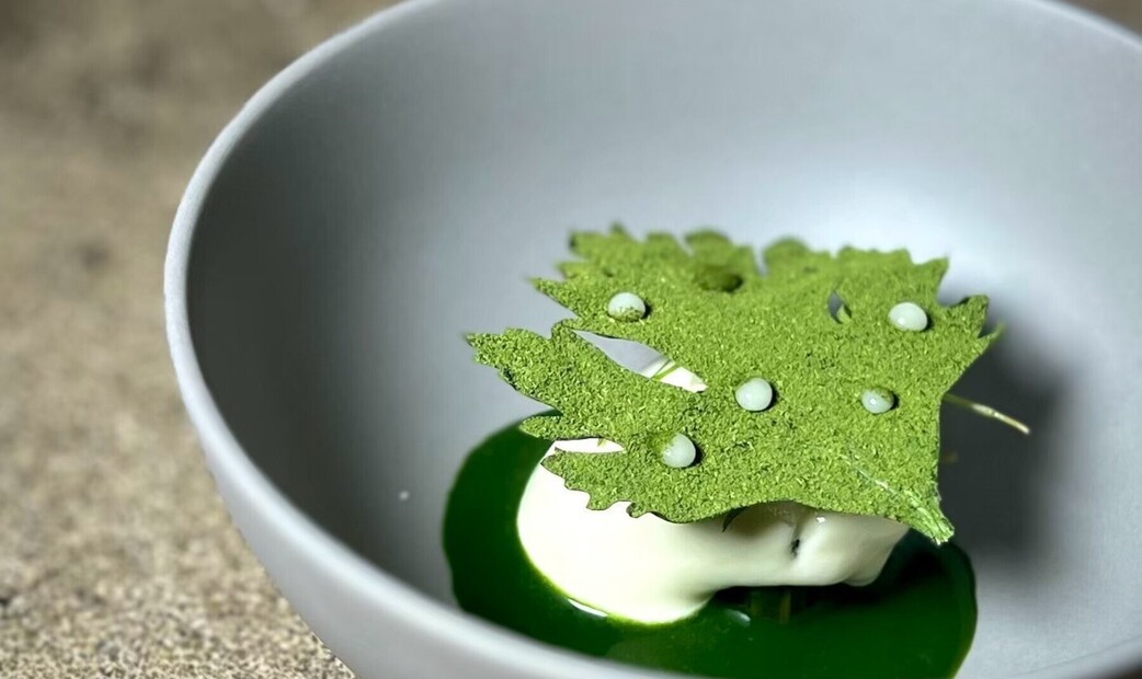 21 Vegan-Friendly Restaurants in Tokyo, from Casual to Michelin