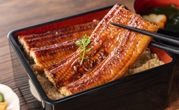 8 Best Unagi Restaurants in Tokyo