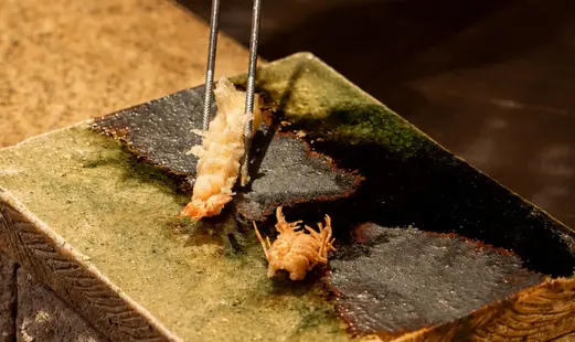 Tempura Fukana's image 8