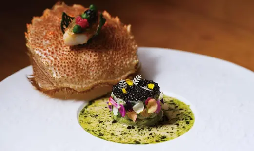 Fine French Cuisine REN_20260909221705