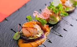 Japan's Finest: 21 Michelin Restaurants Recommended by an Official Partner 