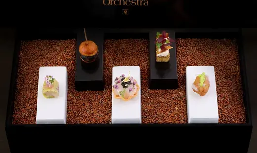 Orchestra_20260926152930