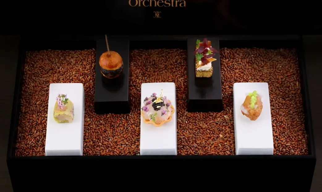 Orchestra_20260926152930