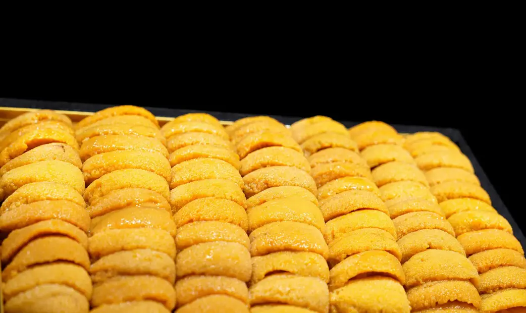 Sushi Wasabi_20260928172605