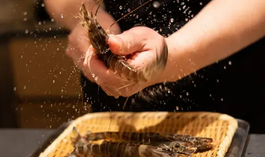 Sushi Wasabi_20260928172609