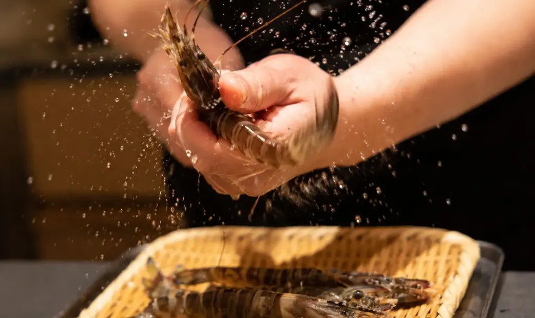 Sushi Wasabi_20260928172609