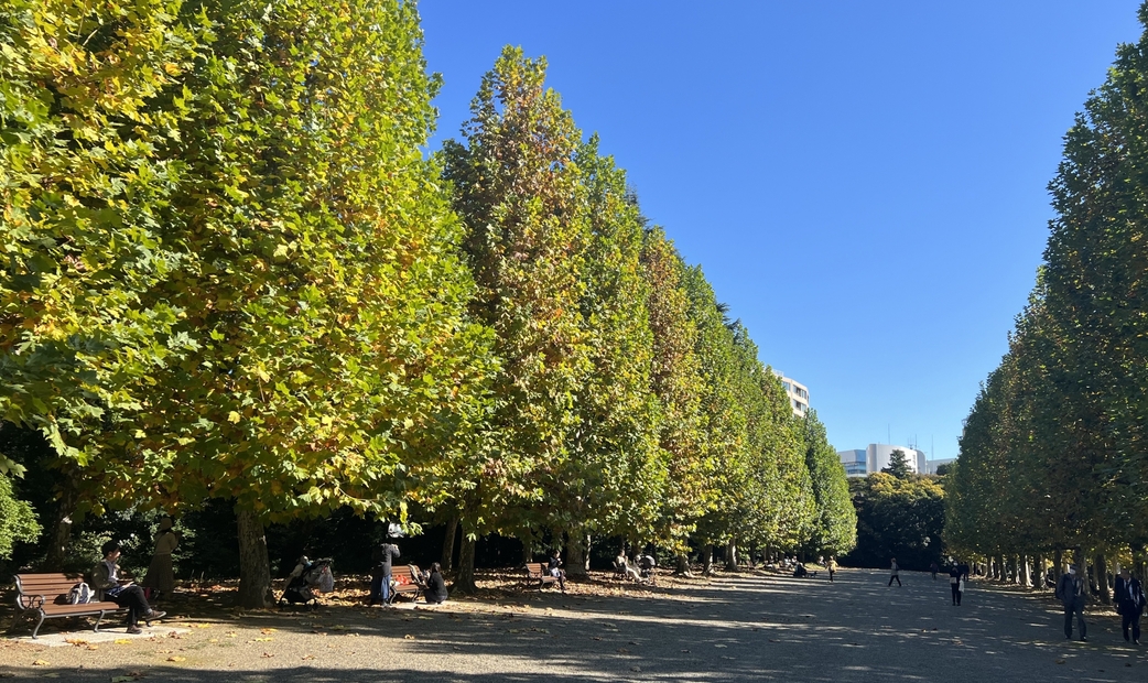 新宿御苑法式庭園