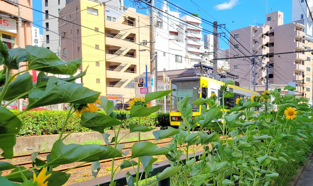 What kind of area is Otsuka?