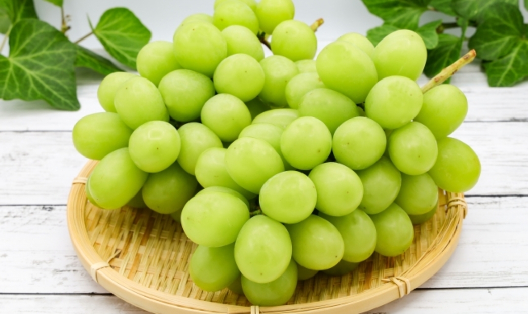 Shine Muscat