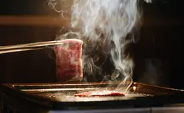 Yakiniku Nikudarake