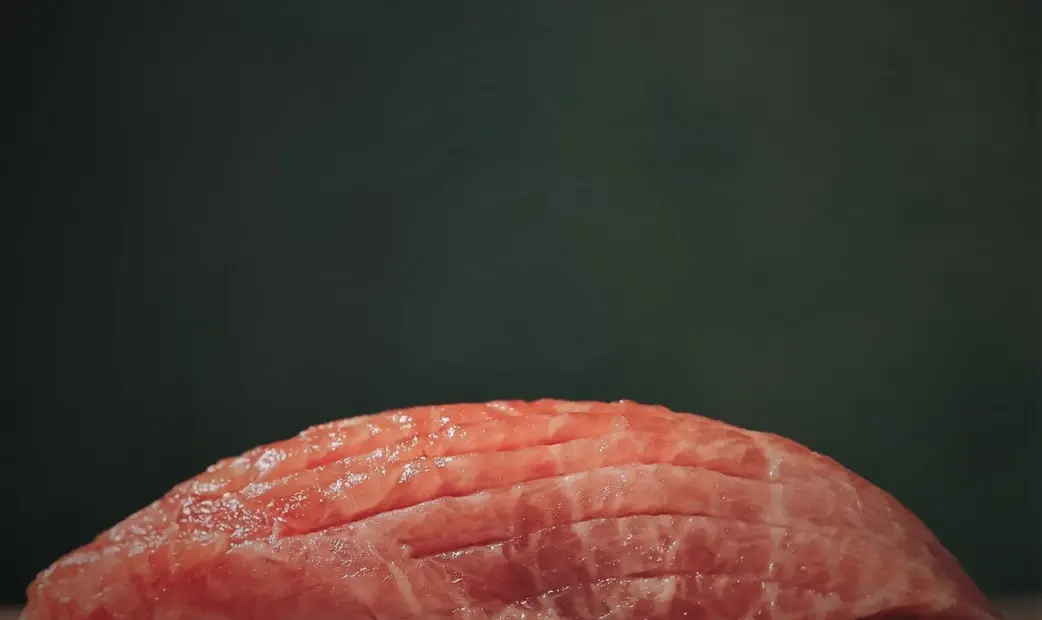 Sushi Kazumasa_20261022141656