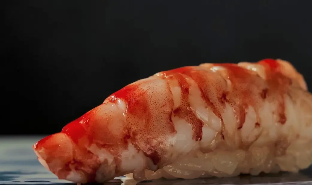 Sushi Kazumasa_20261022141700