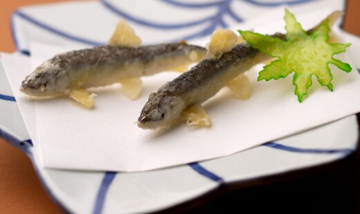 Tempura KYORINSEN's image 3
