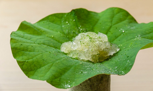 Ichiu's image 9