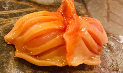 Sushi Sakamoto's image 6