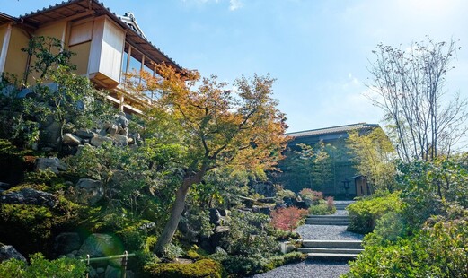 京大和's image 10