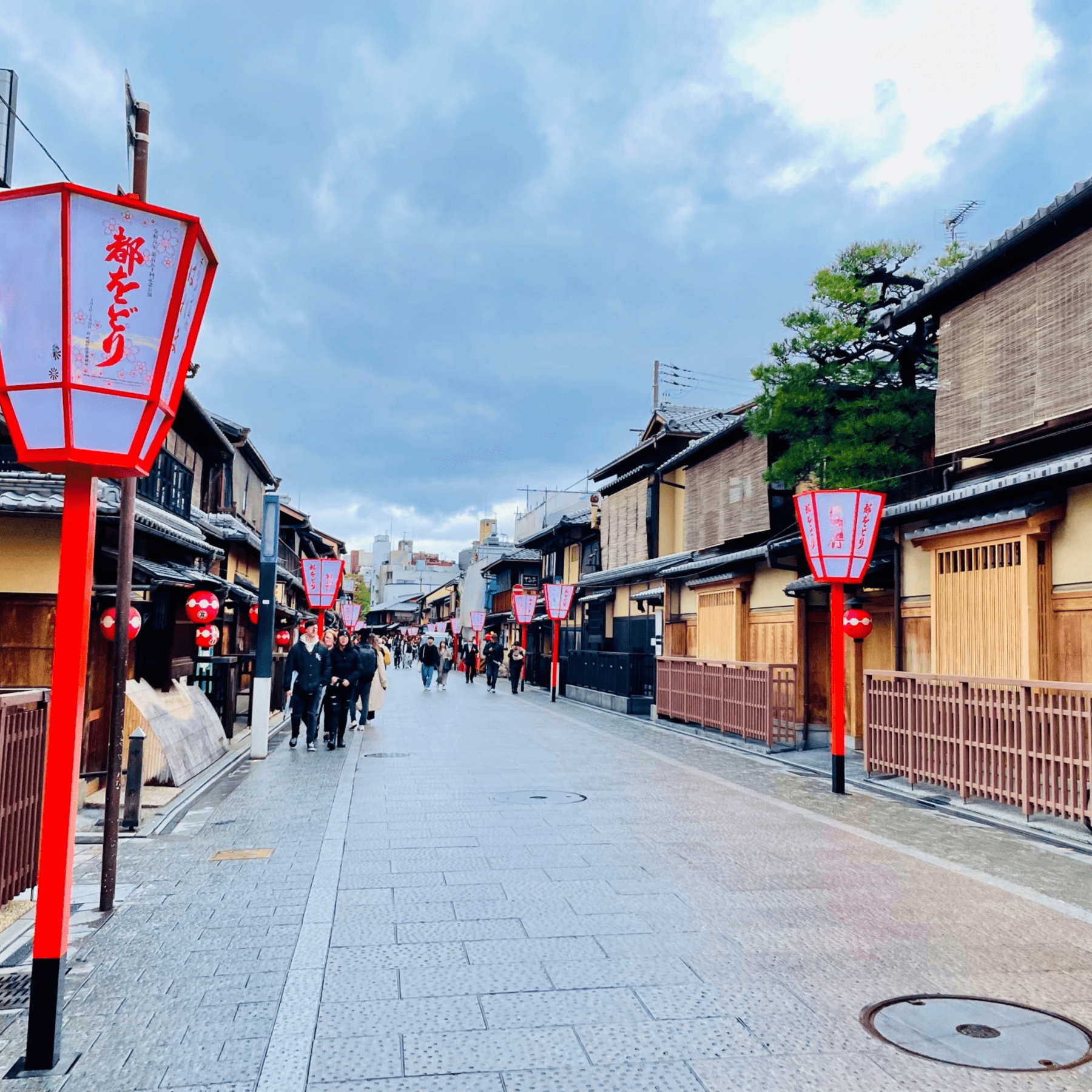 Savor Kyoto: 18 Diverse Restaurants Recommended by Michelin’s Official Partner