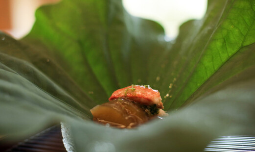 Miyasaka's image 2