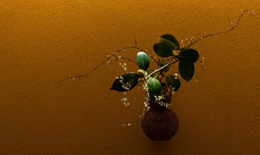 井本's image 4