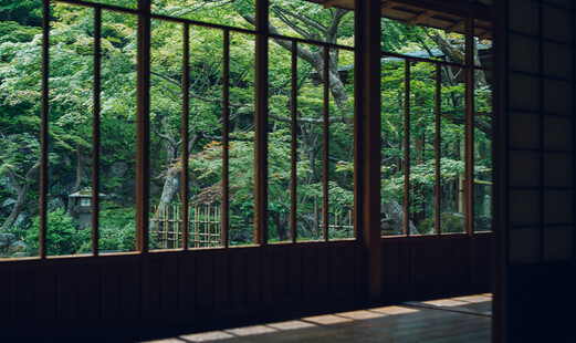 高台寺 十牛庵's image 13