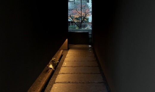 弧柳 (こりゅう)'s image 5