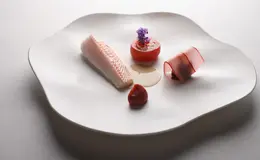 ESqUISSE