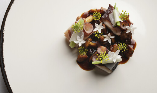 ESqUISSE's image 2