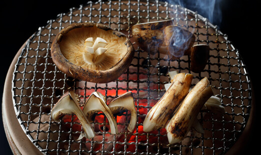 하치칸's image 5