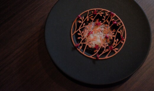 KNOT's image 2